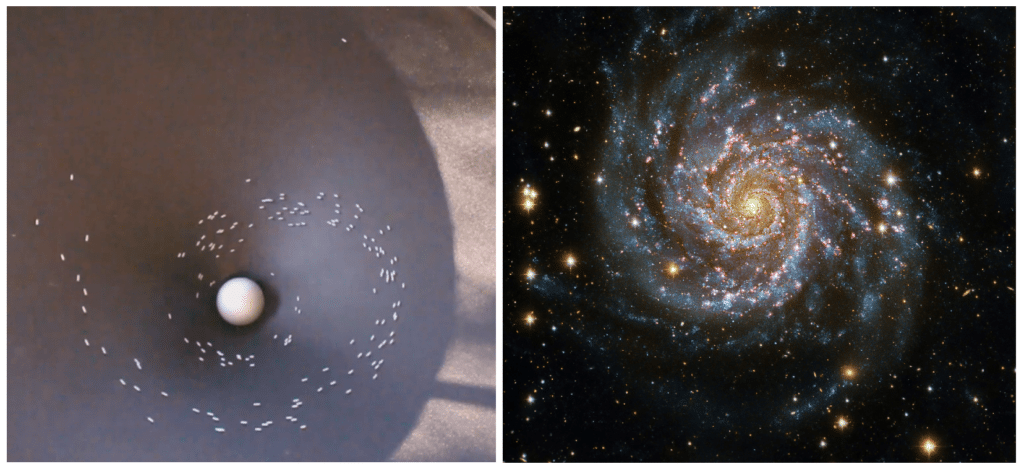 Galaxy Comparison
