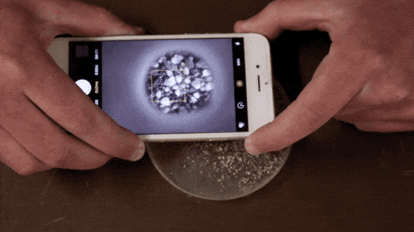 How to Turn Your Smartphone into a Microscope : Global Nerdy
