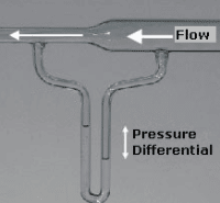 bernoulli