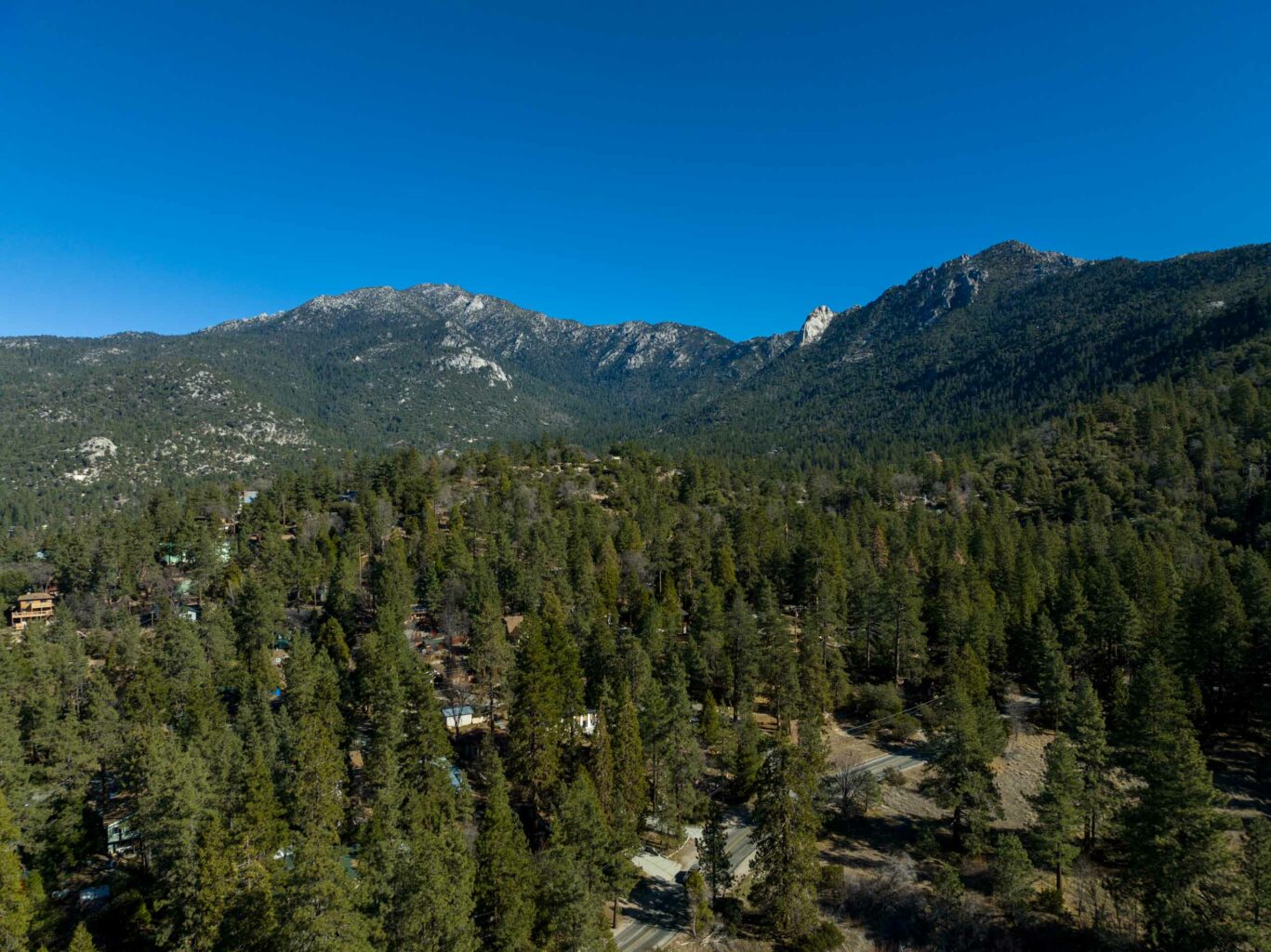 Aerial view of trees and mountain.