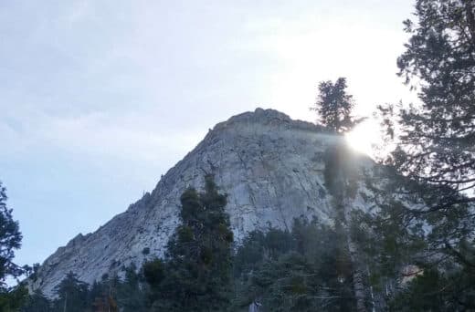 Mountain with trees and sun.