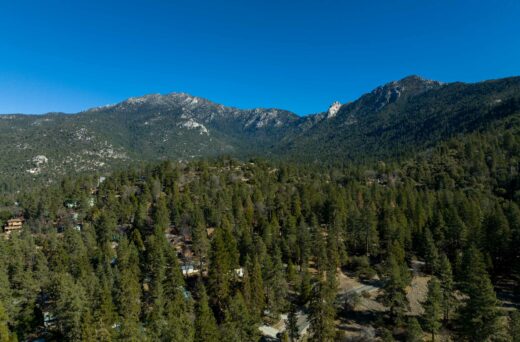 Aerial view of trees and mountains.