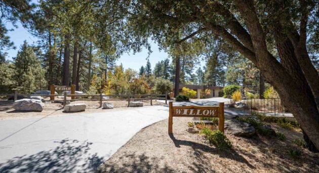 Pathway with trees and willow sign.