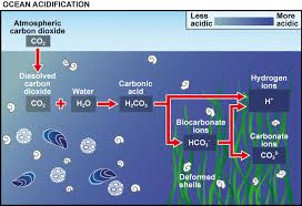 Acidification
