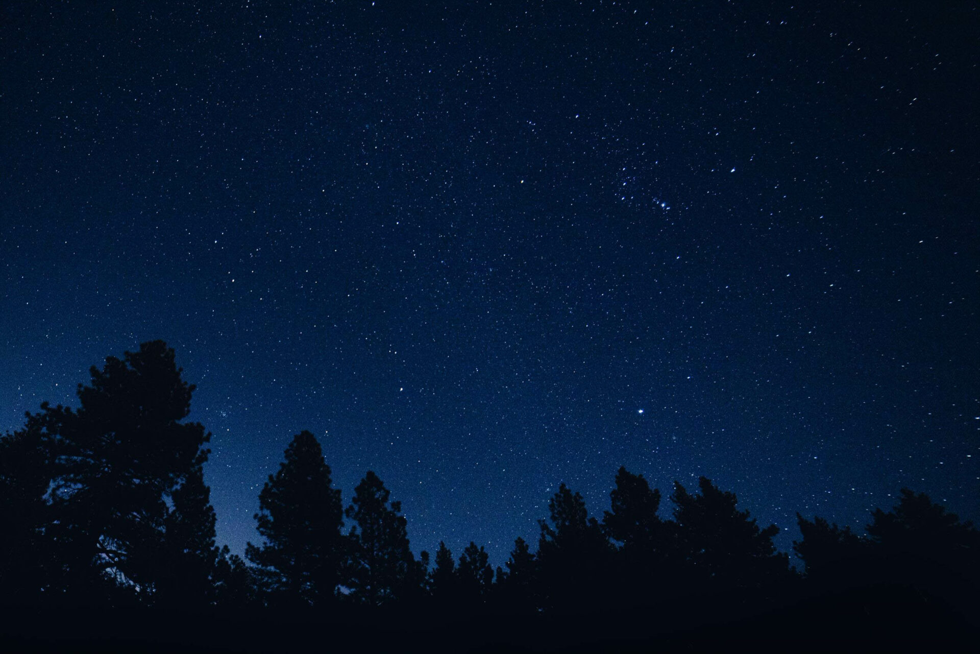 Night sky.